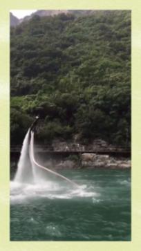 野生动物园大逃脱