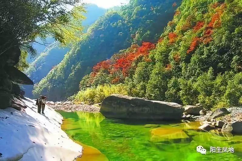 逃出郊外露营地
